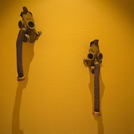 Duplex De 3 En Plein Centre - 82/3a Lutych